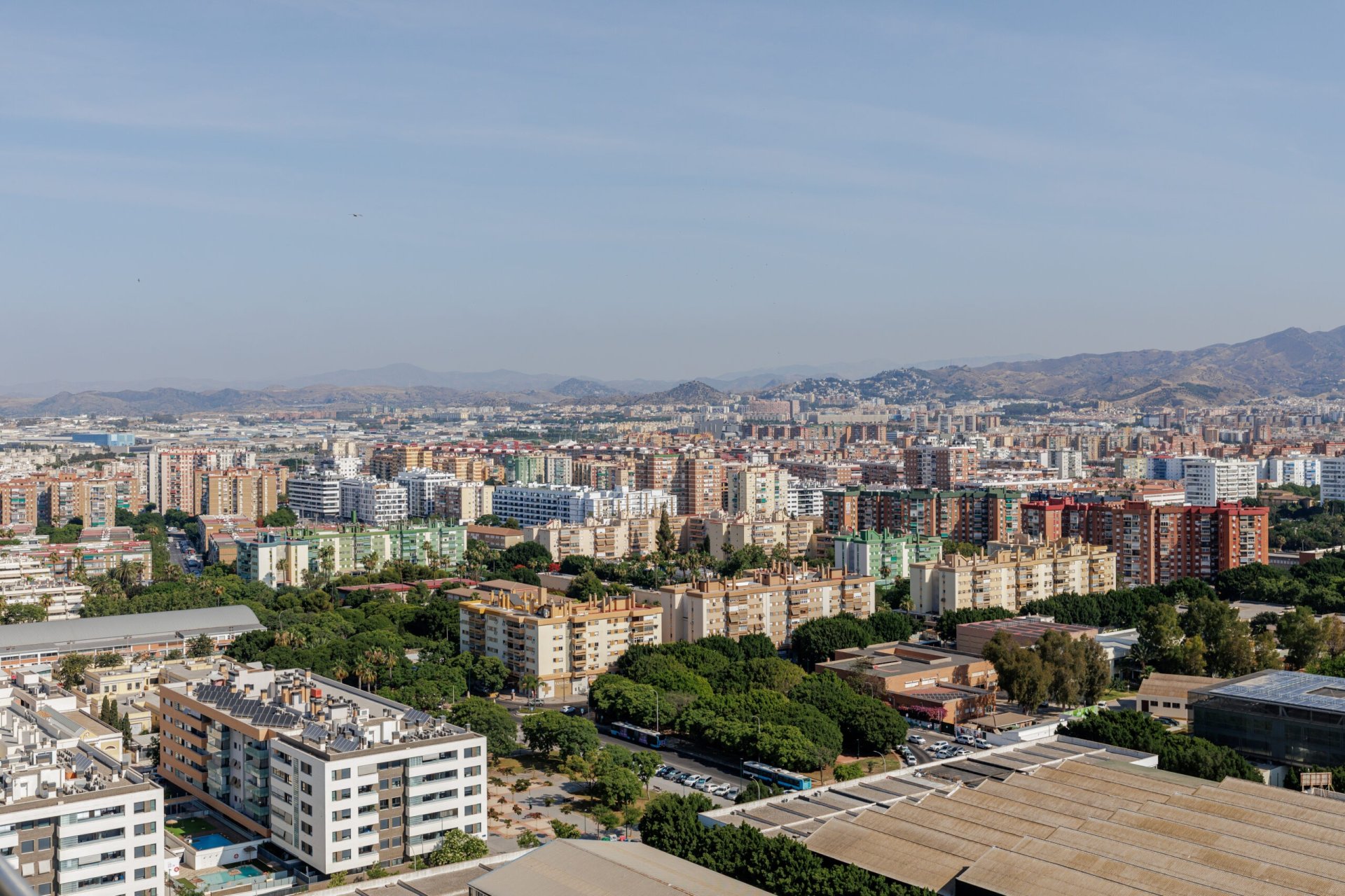 New Build - apartment - Málaga