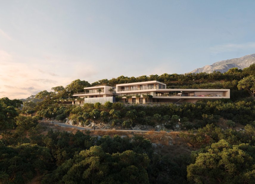 Nouvelle construction - Villa - Montemayor